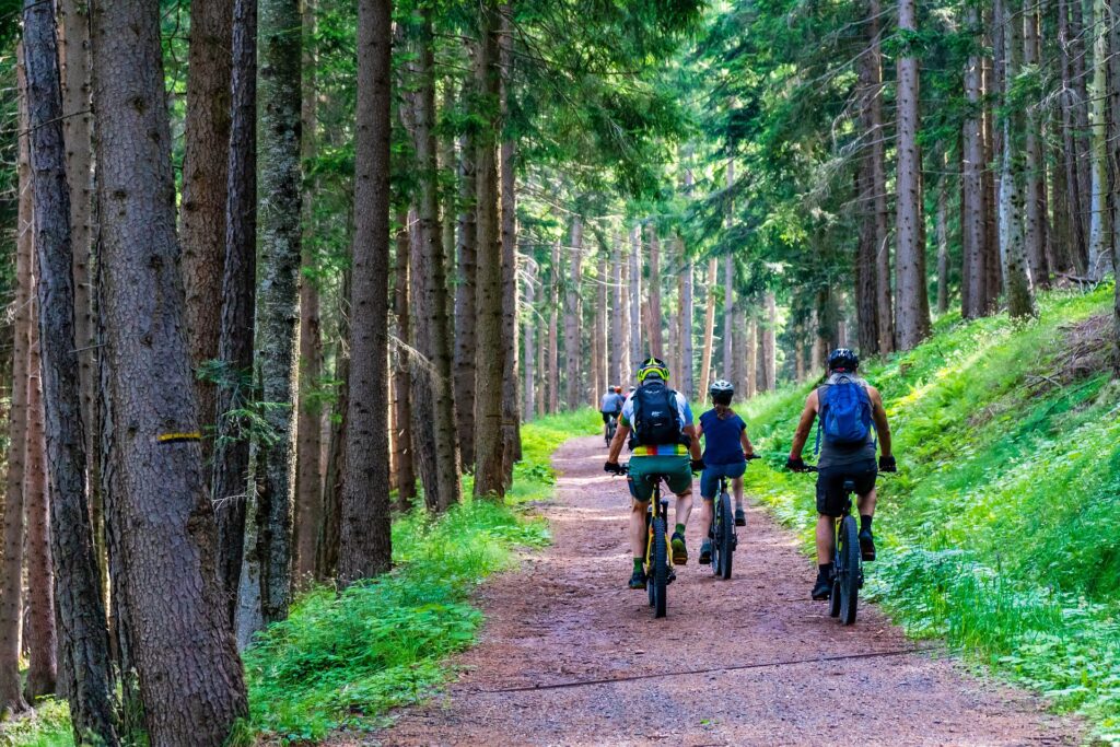 VTT vosges été