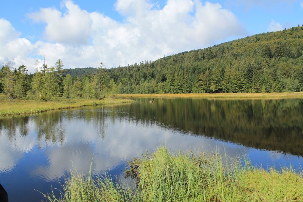 Lac vosges été