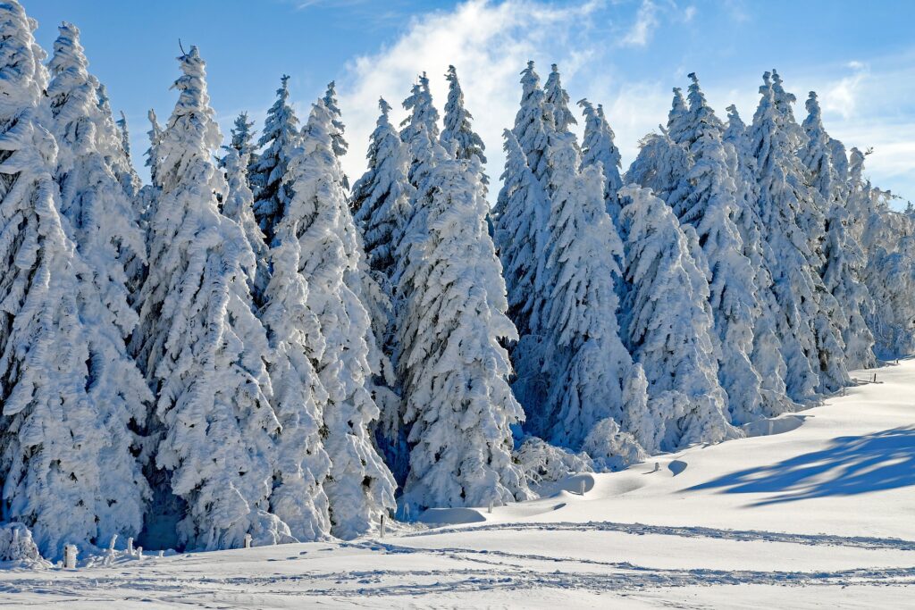 hiver vosges